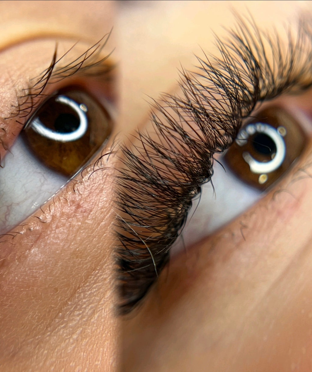 BB Lash Máster