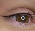 WING EYELINER